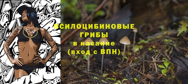 mdpv Белокуриха
