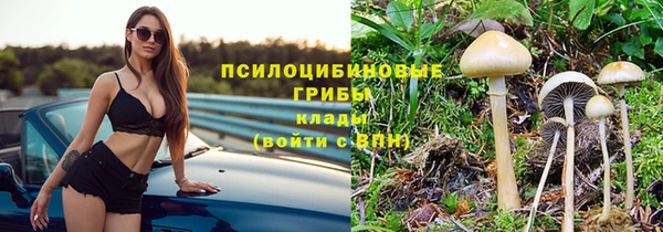 mdpv Белокуриха