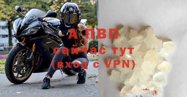 трава Беломорск