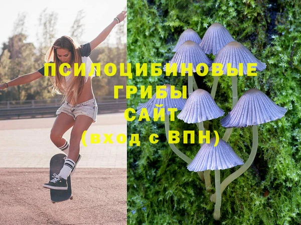 трава Беломорск