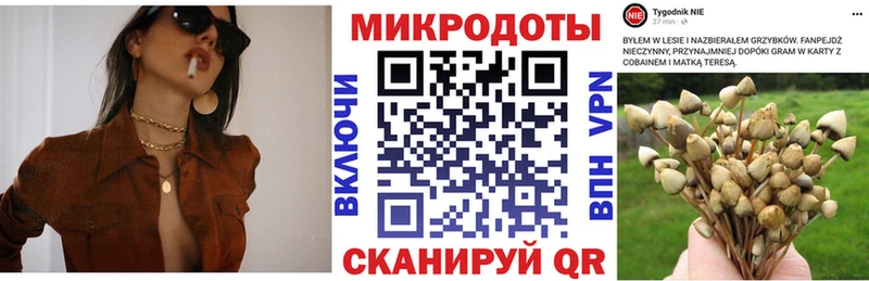 купить наркотики цена  Афипский  МЕГА ссылка  Псилоцибиновые грибы ЛСД 